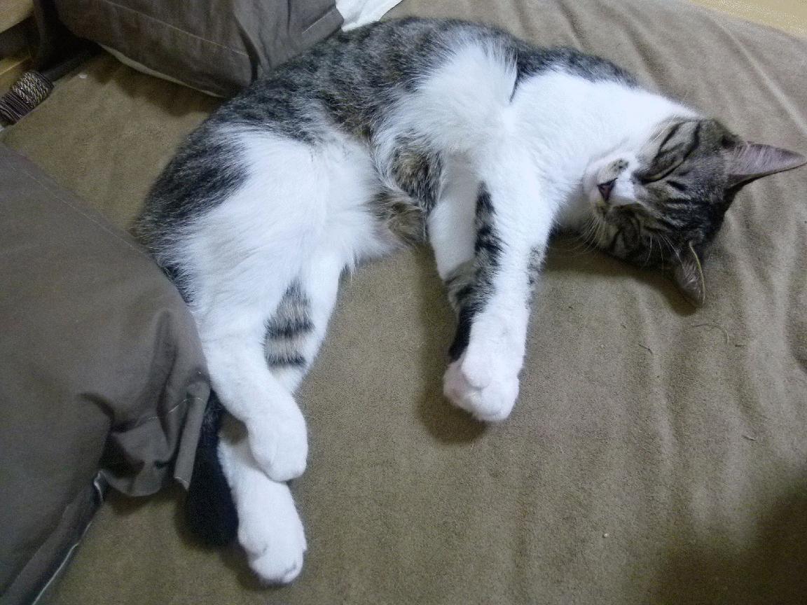 _云端游乐竞技场：虚拟现实中的极限较量_，云端俱乐部