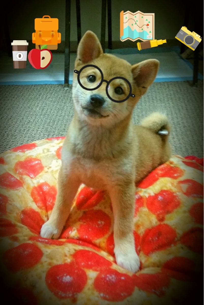 中学生篮球联赛东部赛区开赛,湖南队爆冷击败种子队,湖南省中学生篮球比赛