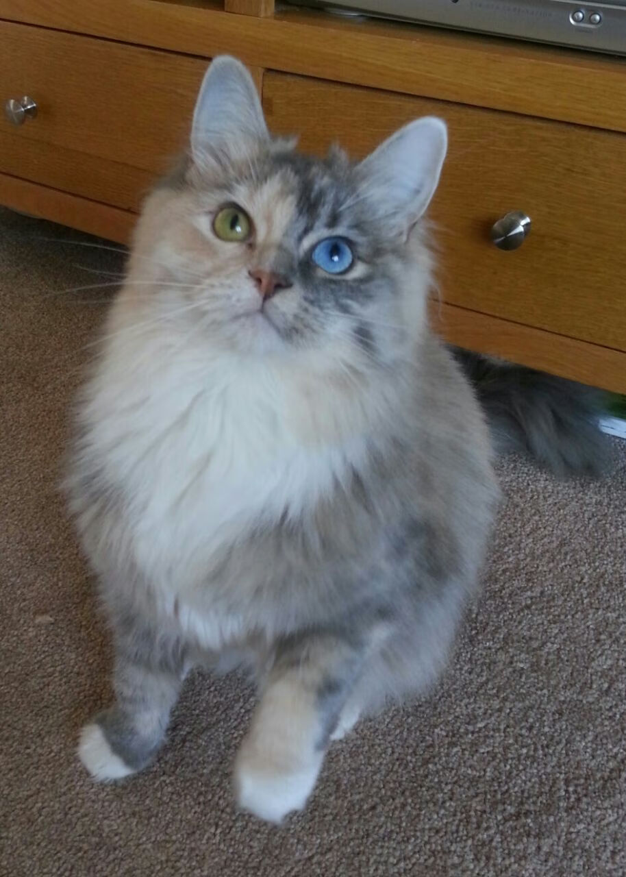 西甲决战,球员讲比赛亮点,西甲决赛时间