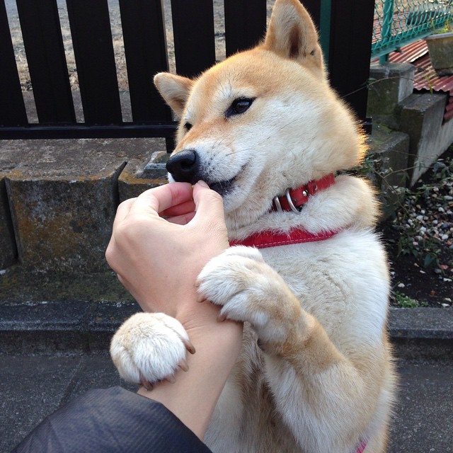 雷霆替补席贡献全场近一半得分，深度阵容获赞，雷霆今年阵容