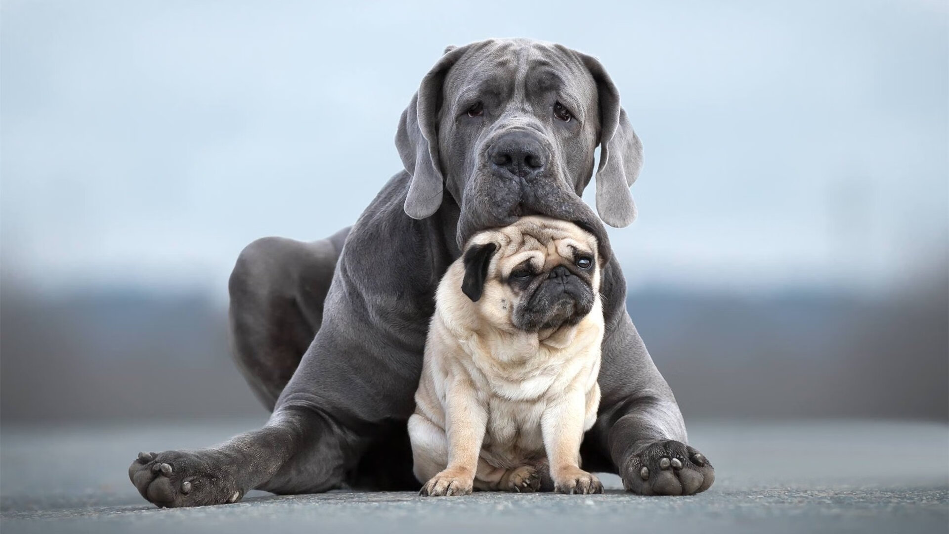 全北现代欲阻蔚山连胜势头,全北现代vs蔚山现代分析