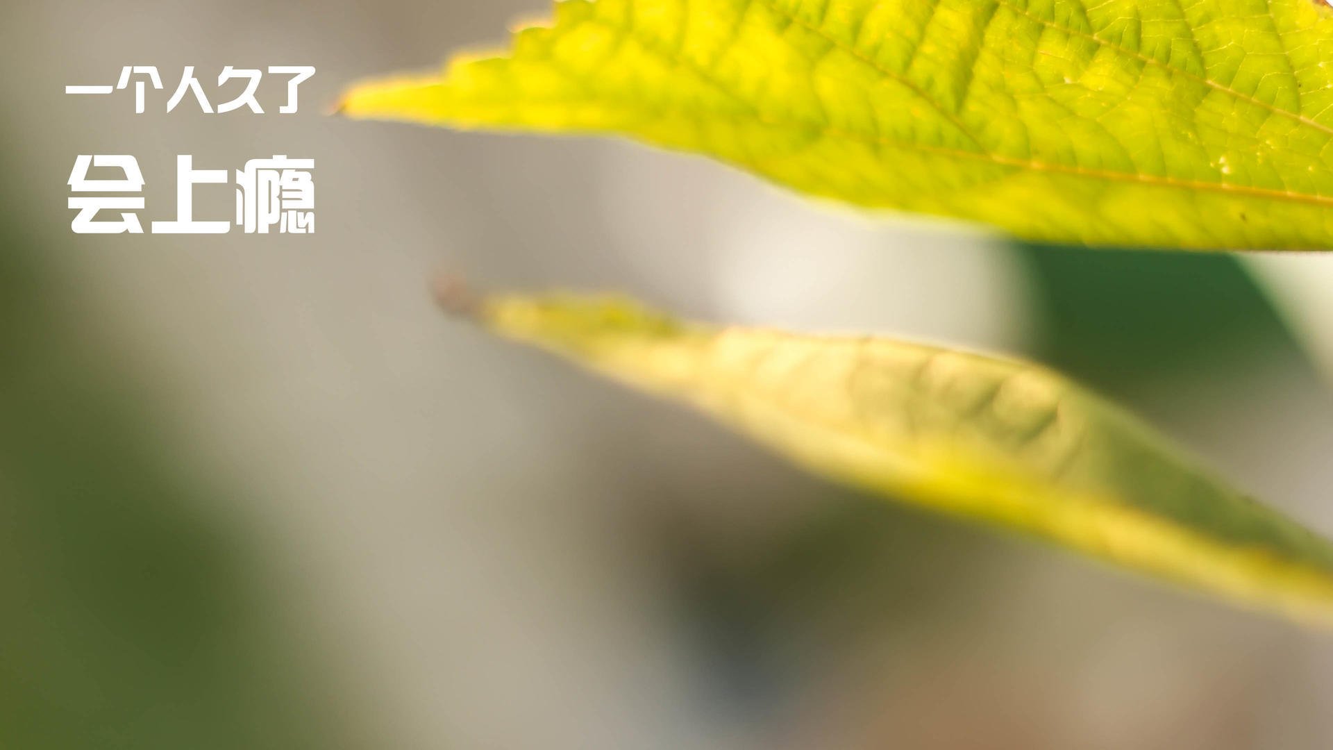 梅西攻入倒勾绝杀，巴萨客场取胜，梅西进巴萨