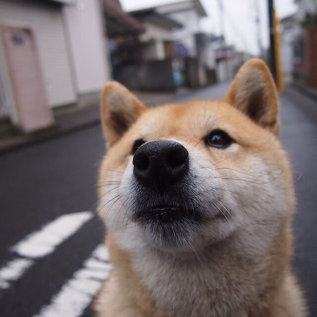 LeyuSports-梅西率队轻松取胜，巴萨升至积分榜第三，梅西巴萨成绩