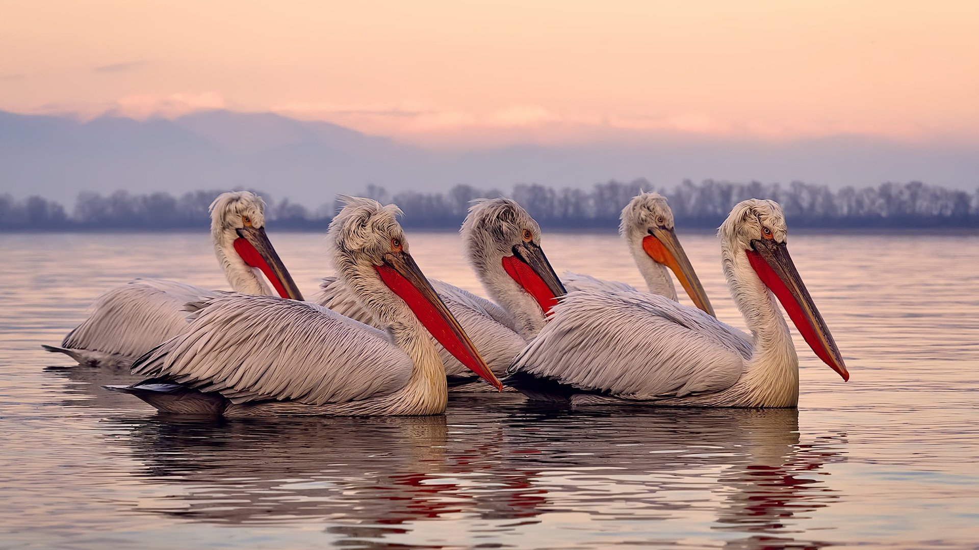 热刺客场输给曼联,英超豪门之间的巅峰对决,热刺狂胜曼联