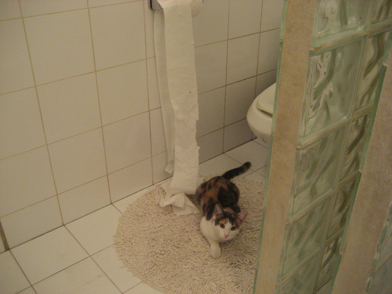 葡萄牙选手实力雄厚，创造绝佳表现，葡萄牙足球选手