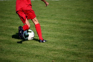 leyu乐鱼-中国篮球教练员战术执行能力评估体系，中国篮球教练员培训等级