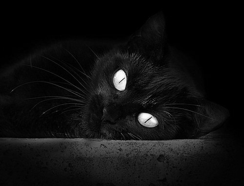 中国篮球联赛裁判员专业培训体系完善研究,篮球裁判员培训教程