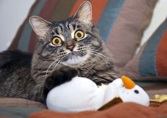 中国足球中场多点发起战术对比,当今足球中场