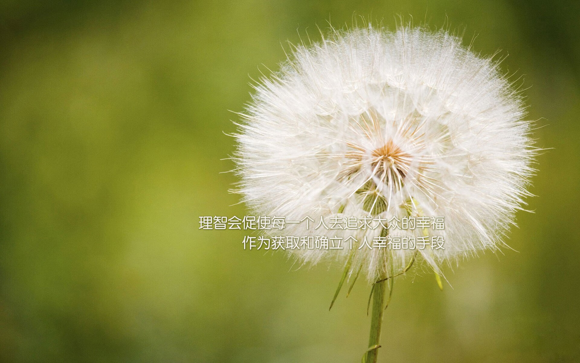 中国青少年篮球推广策略与实施效果评估,中国青少年篮球推广策略与实施效果评估研究