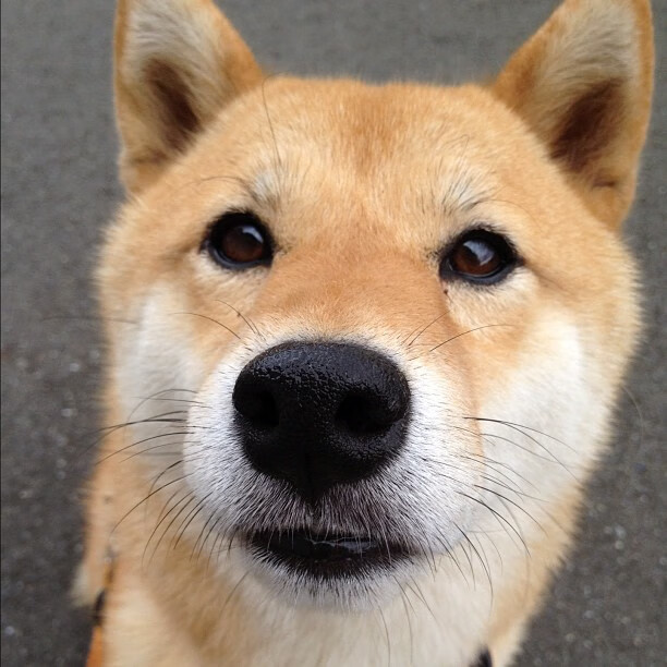 全国青少年沙滩排球赛海南站火热开赛,全国沙滩排球赛在哪里举行