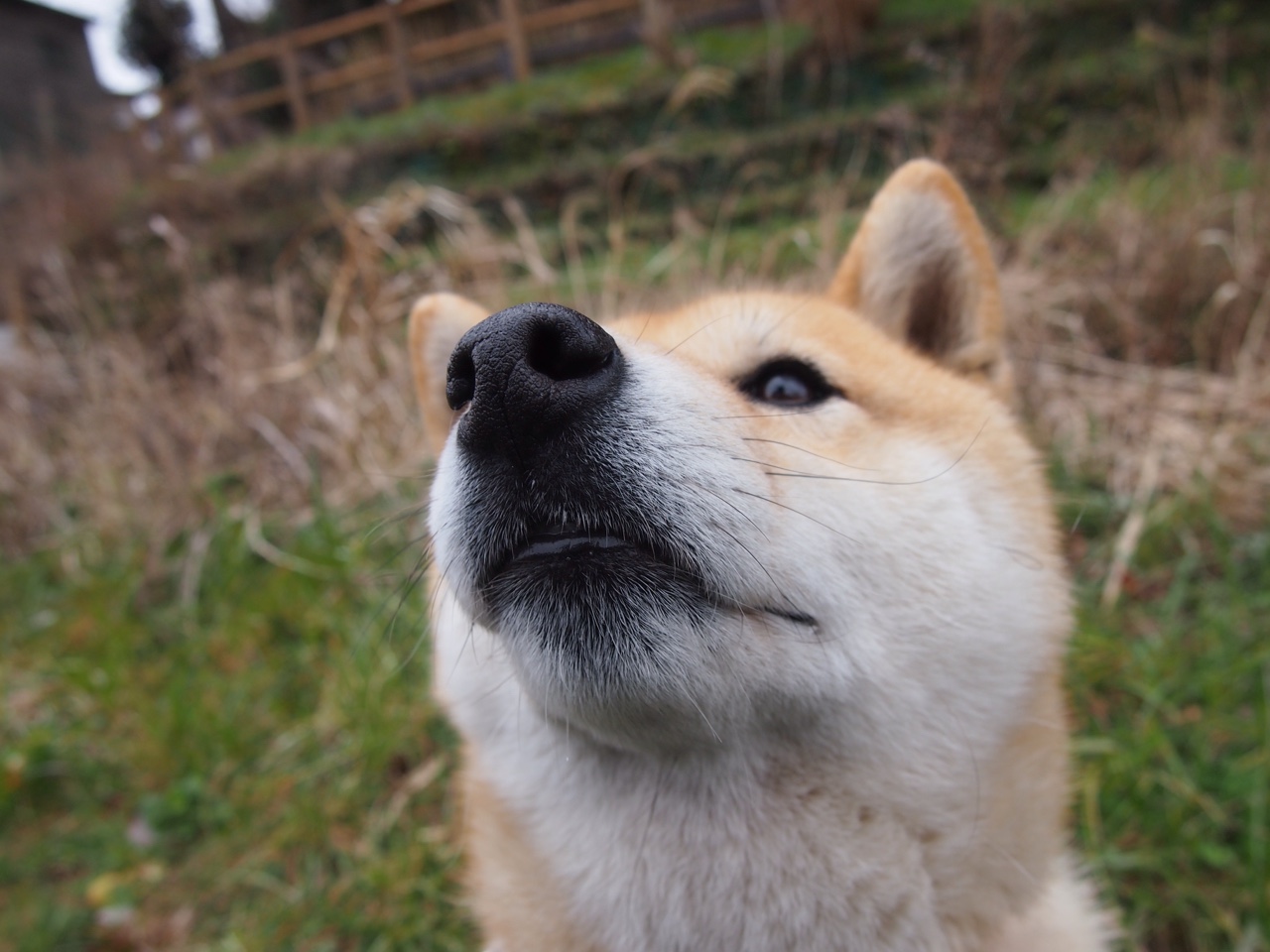 足球公益:联赛中的慈善行动与社会责任,足球公益活动标语