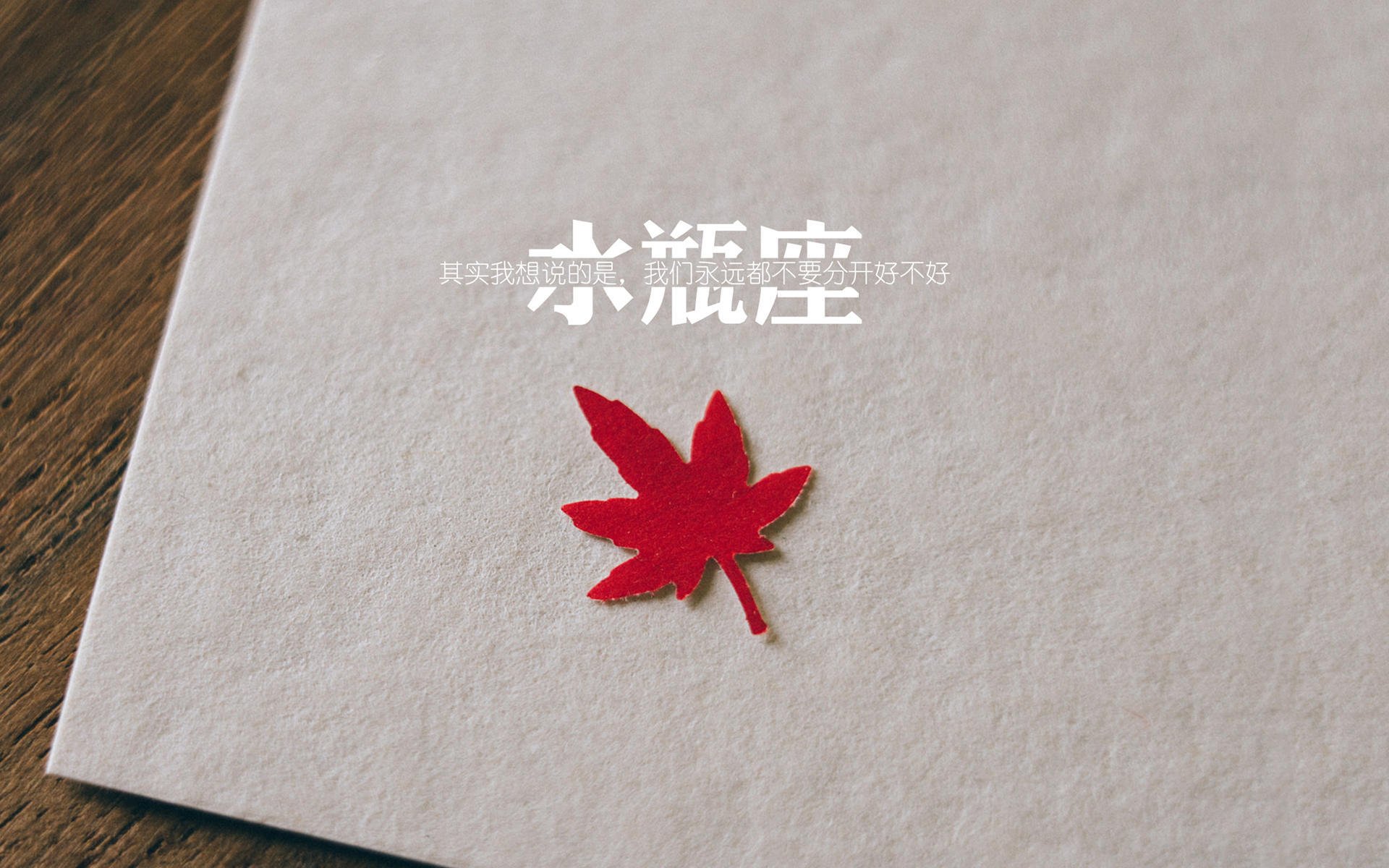 中国女泳队勇夺多金领跑积分榜,中国女子游泳国家队