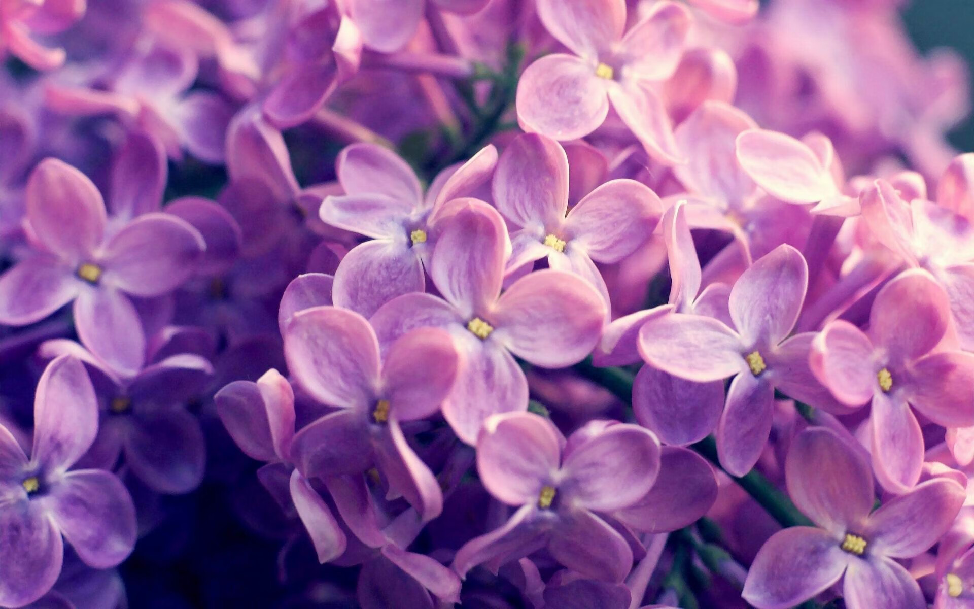 体育新闻中心上线体育内容智能推荐与分析系统,体育新闻网站推荐