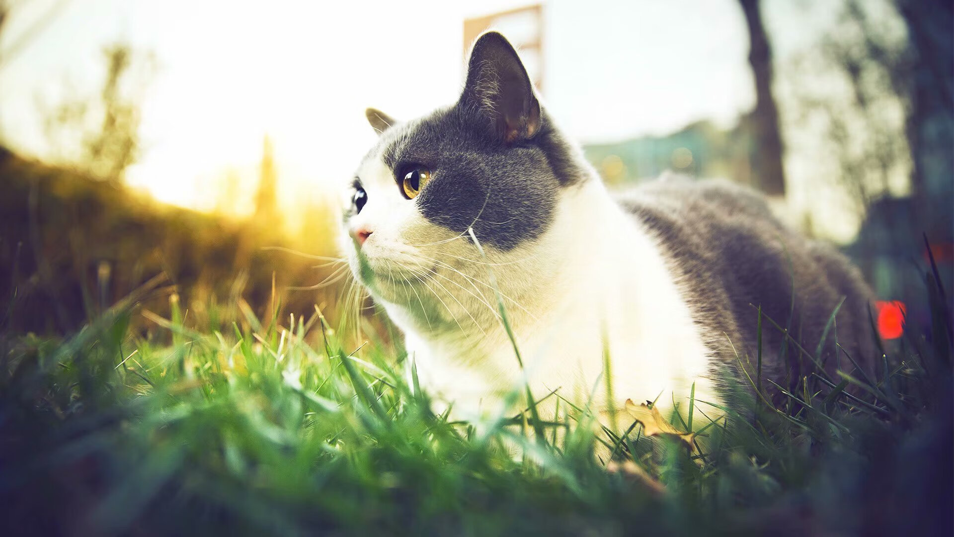 乐鱼体育平台官网-体育明星公益形象深入人心，体育明星精神