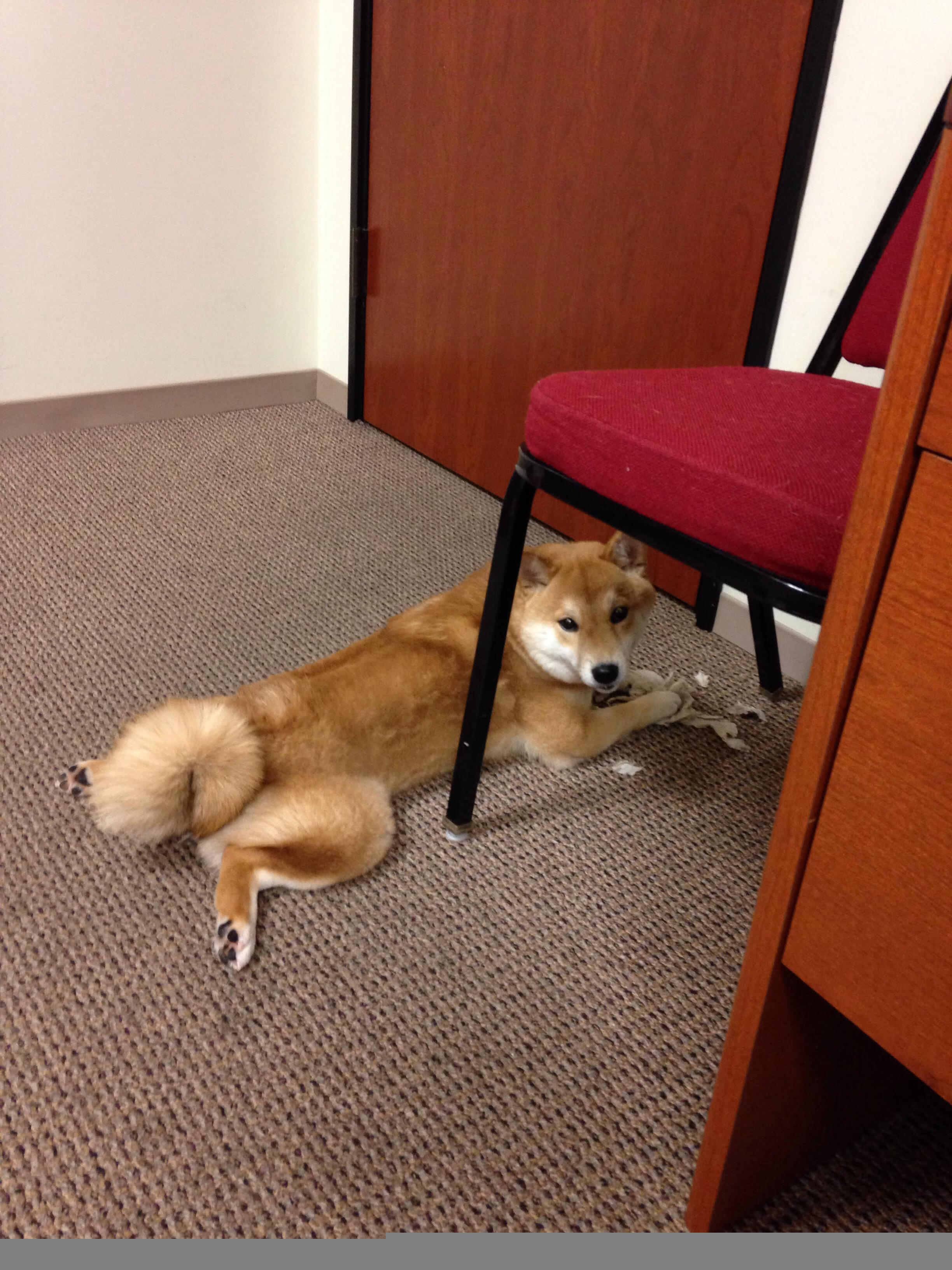 leyu乐鱼官网登录入口-比赛节奏与球队攻防转换速度的关系，详述什么是比赛节奏