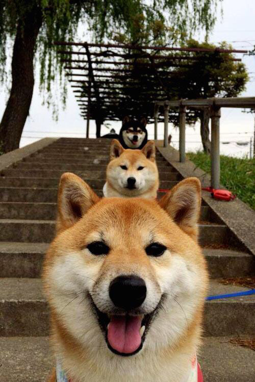 APP下载 LY Sports-保险公司推出足球运动专项保险，为运动员提供保障，踢足球保险