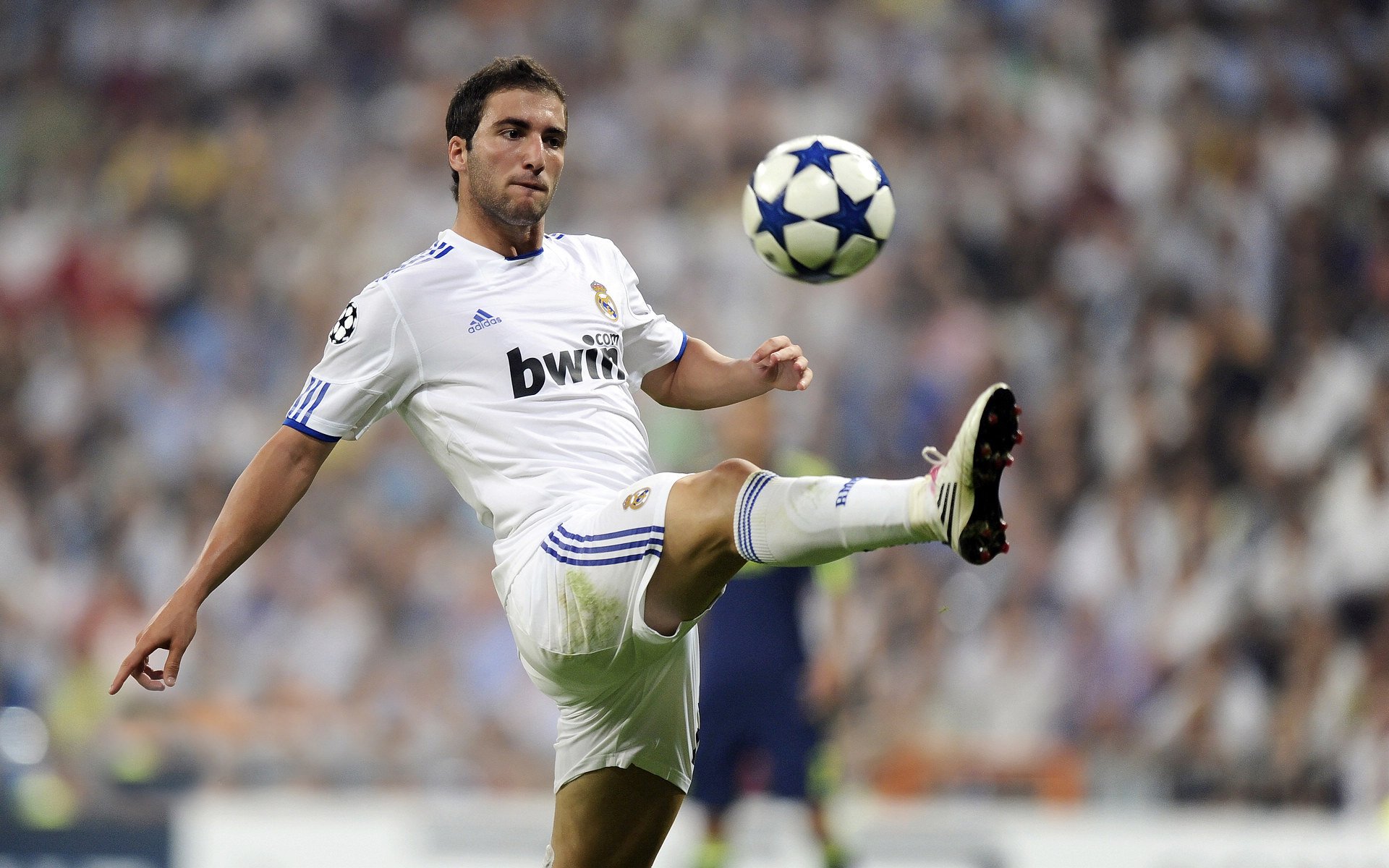 南非橄榄球战术创新走向国际,能否再次打破强队格局,南非获得橄榄球世界杯