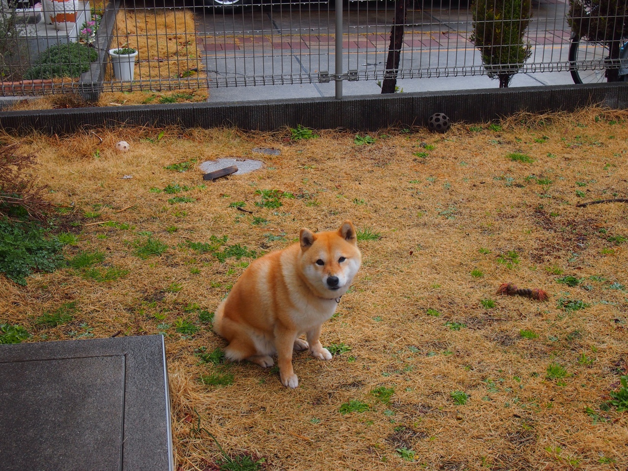 李娜称孩子比冠军更值得骄傲，李娜儿女