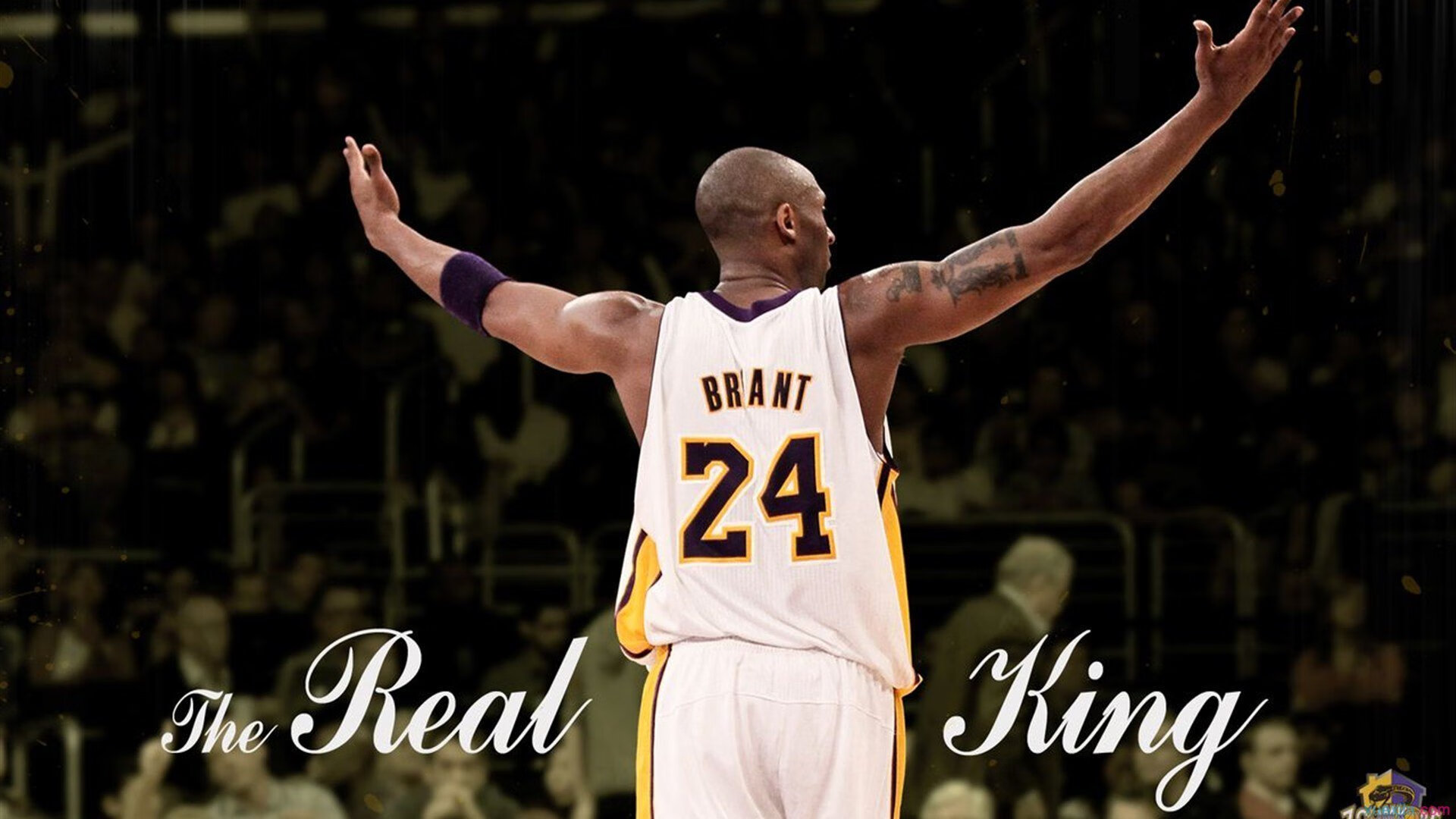 《AI辅助战术分析：揭秘电竞中的高科技应用》，ai pvp电竞