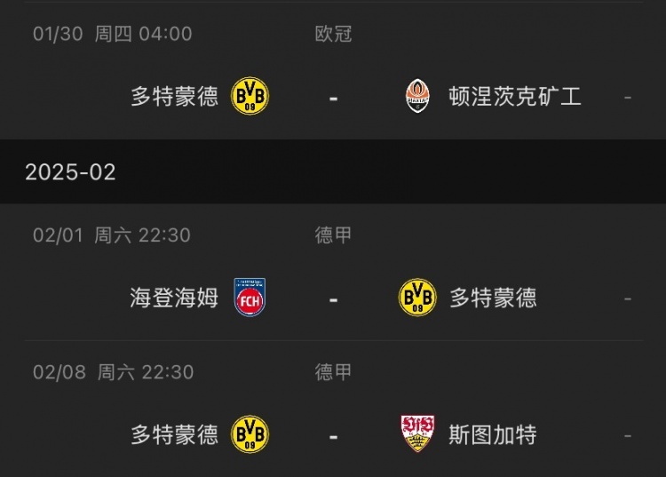 乐鱼体育:德甲的年轻化路线：培养未来的足球明星的简单介绍